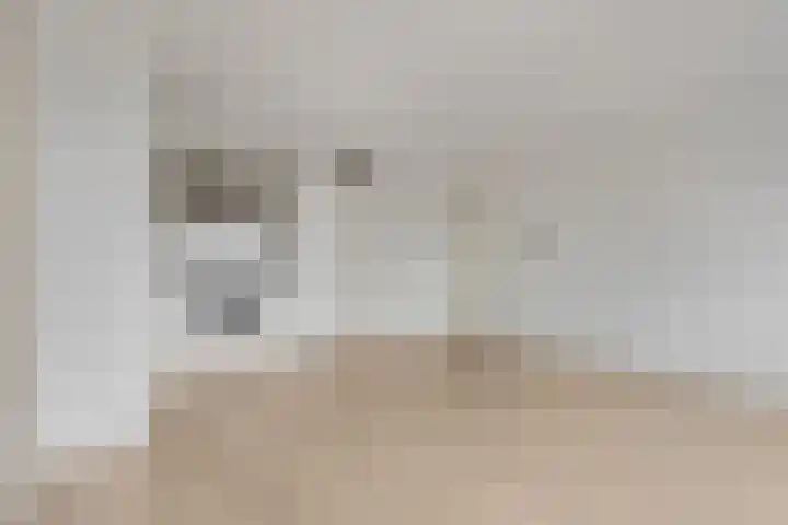 Wadestein 23 Ede thumbnail 6