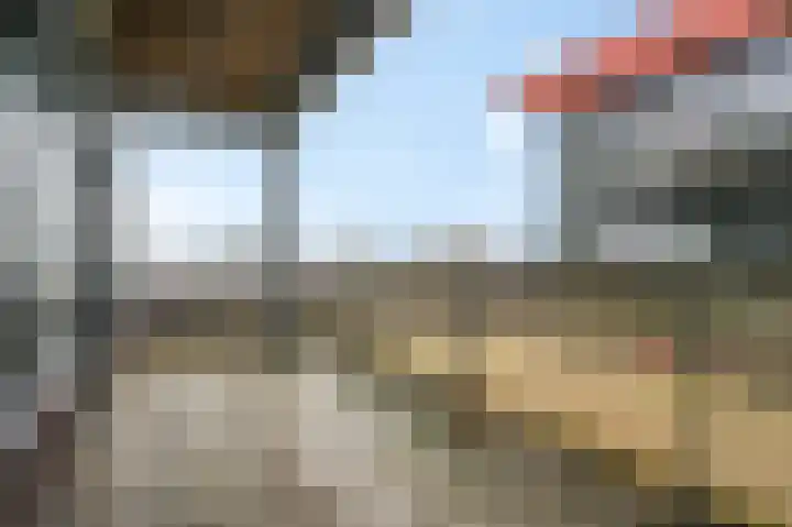 Wadestein 28 Ede thumbnail 18