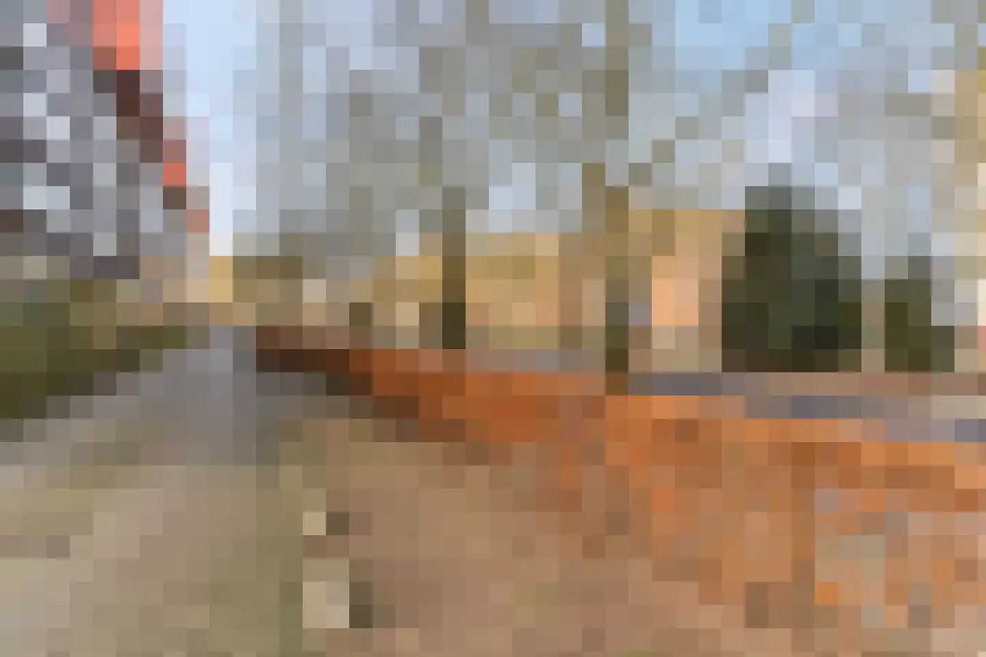 Wadestein 28 Ede thumbnail 22