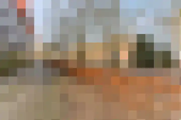 Wadestein 28 Ede thumbnail 22