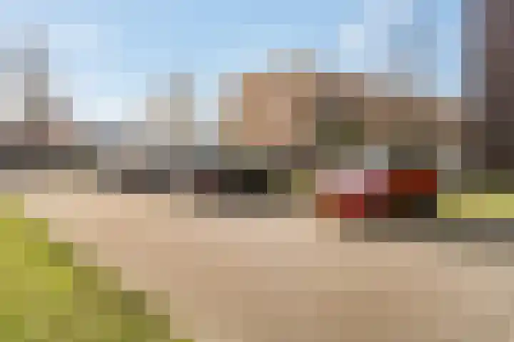 Wadestein 28 Ede thumbnail 23