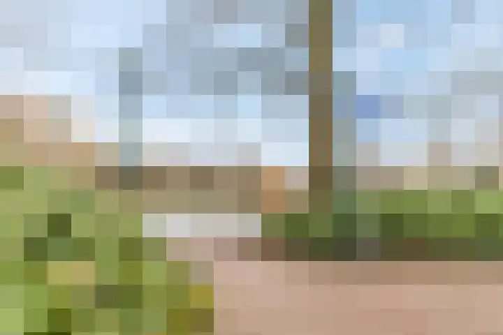 Wadestein 28 Ede thumbnail 28