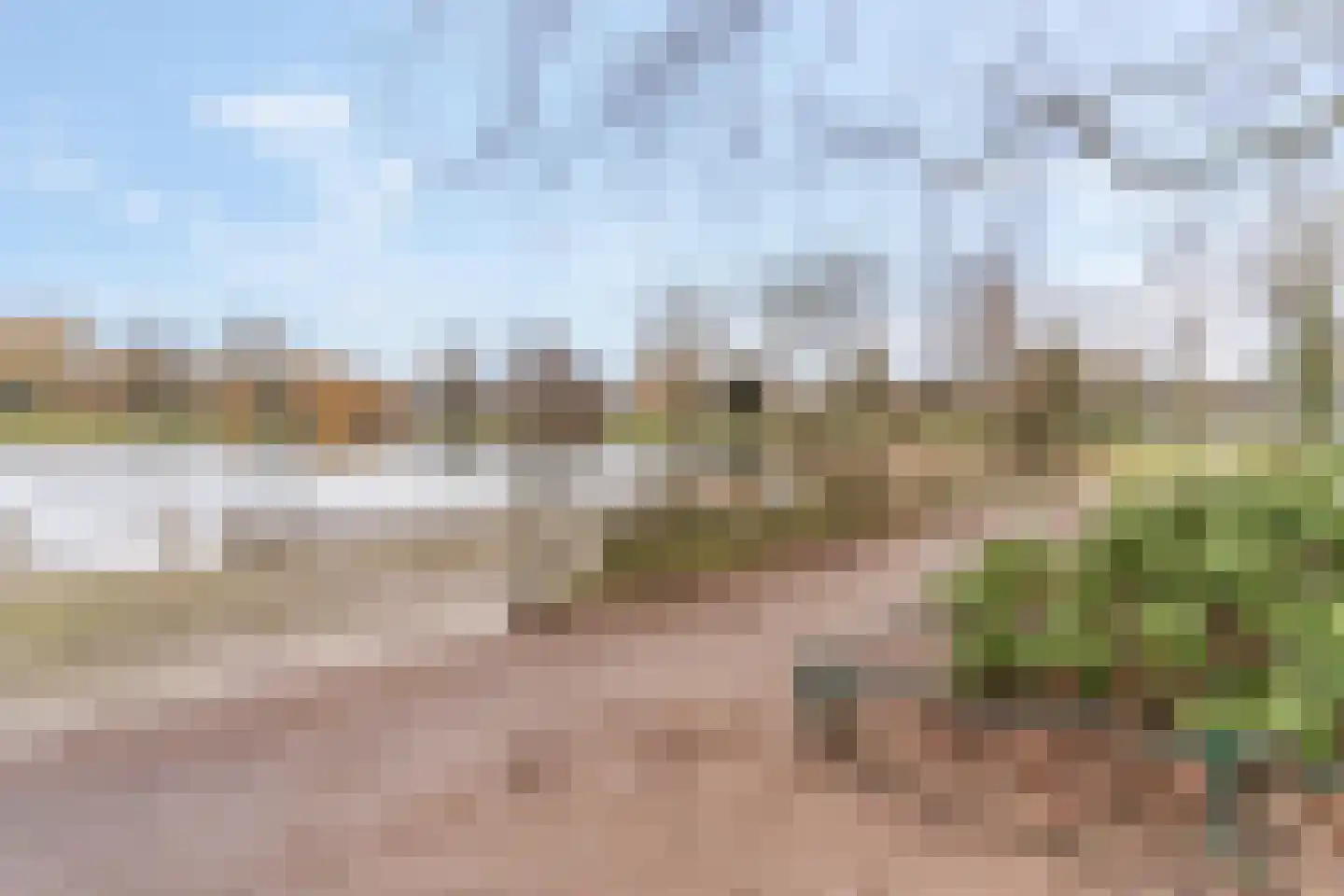 Wadestein 28 Ede thumbnail 29