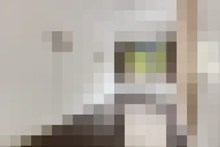 Wadestein 38 Ede thumbnail 11