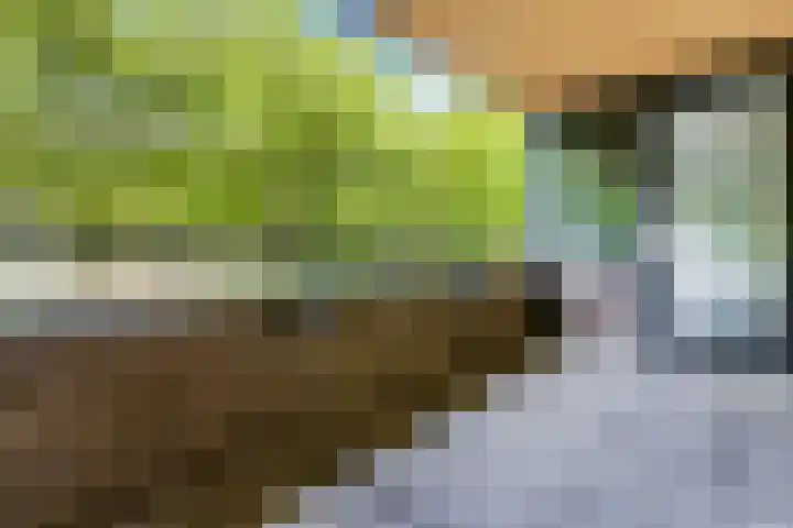 Wadestein 38 Ede thumbnail 22