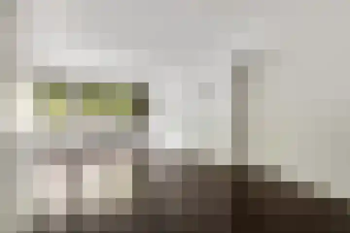 Wadestein 38 Ede thumbnail 4