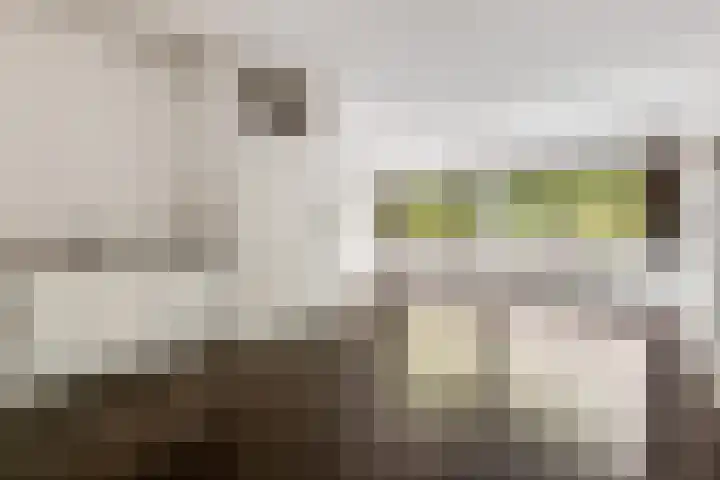 Wadestein 38 Ede thumbnail 5