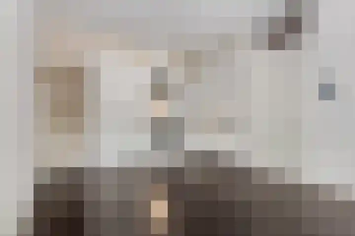 Wadestein 38 Ede thumbnail 7