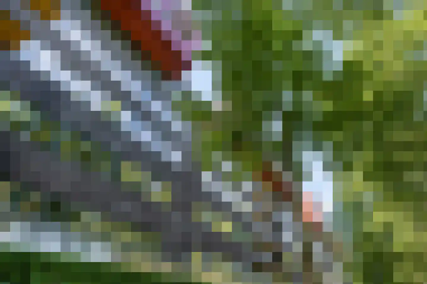 Wadestein 49 Ede thumbnail 21