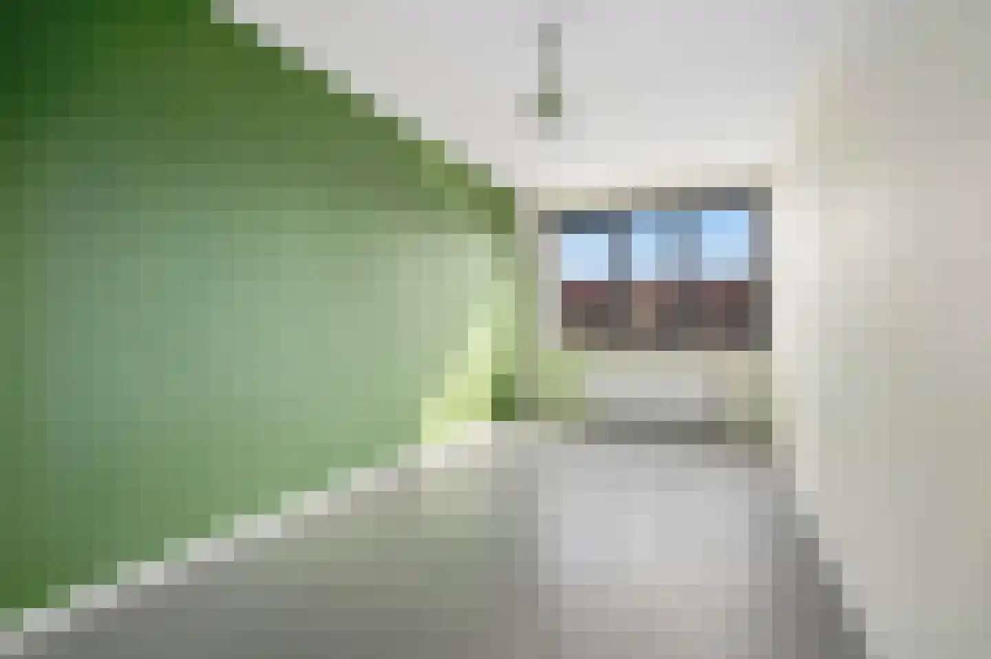 Wadestein 67 Ede thumbnail 11