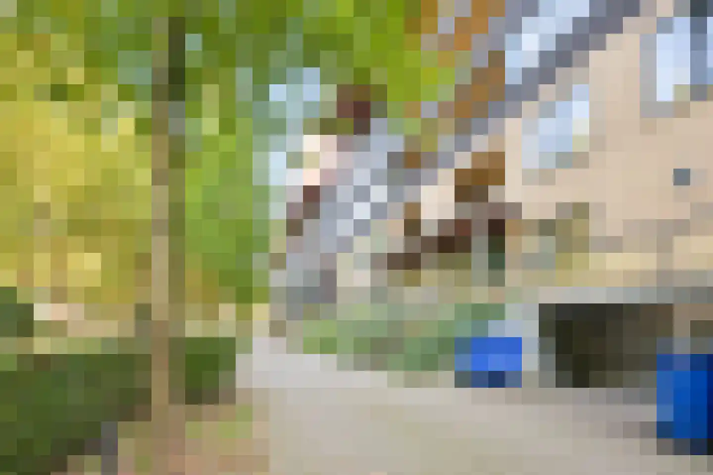 Wadestein 67 Ede thumbnail 31