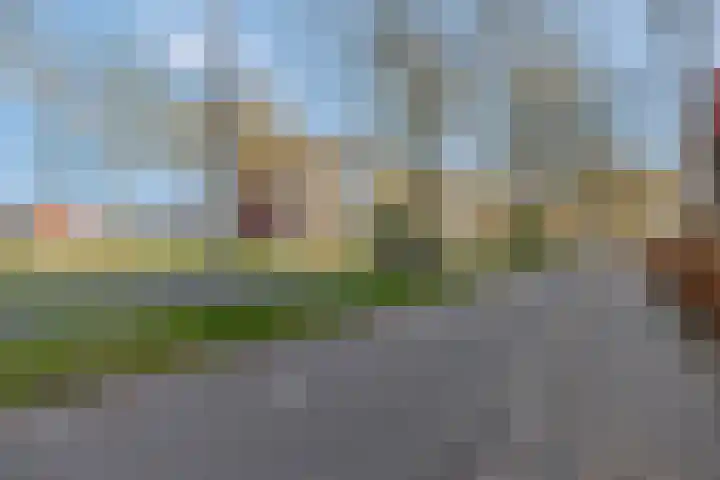 Wadestein 77 Ede thumbnail 25