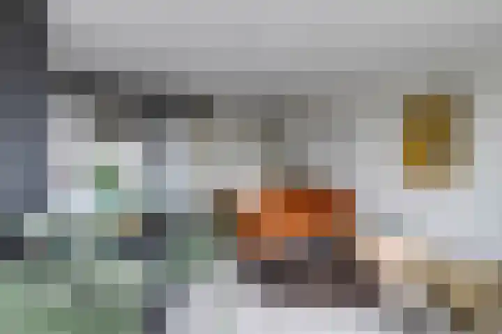 Wadestein 77 Ede thumbnail 4