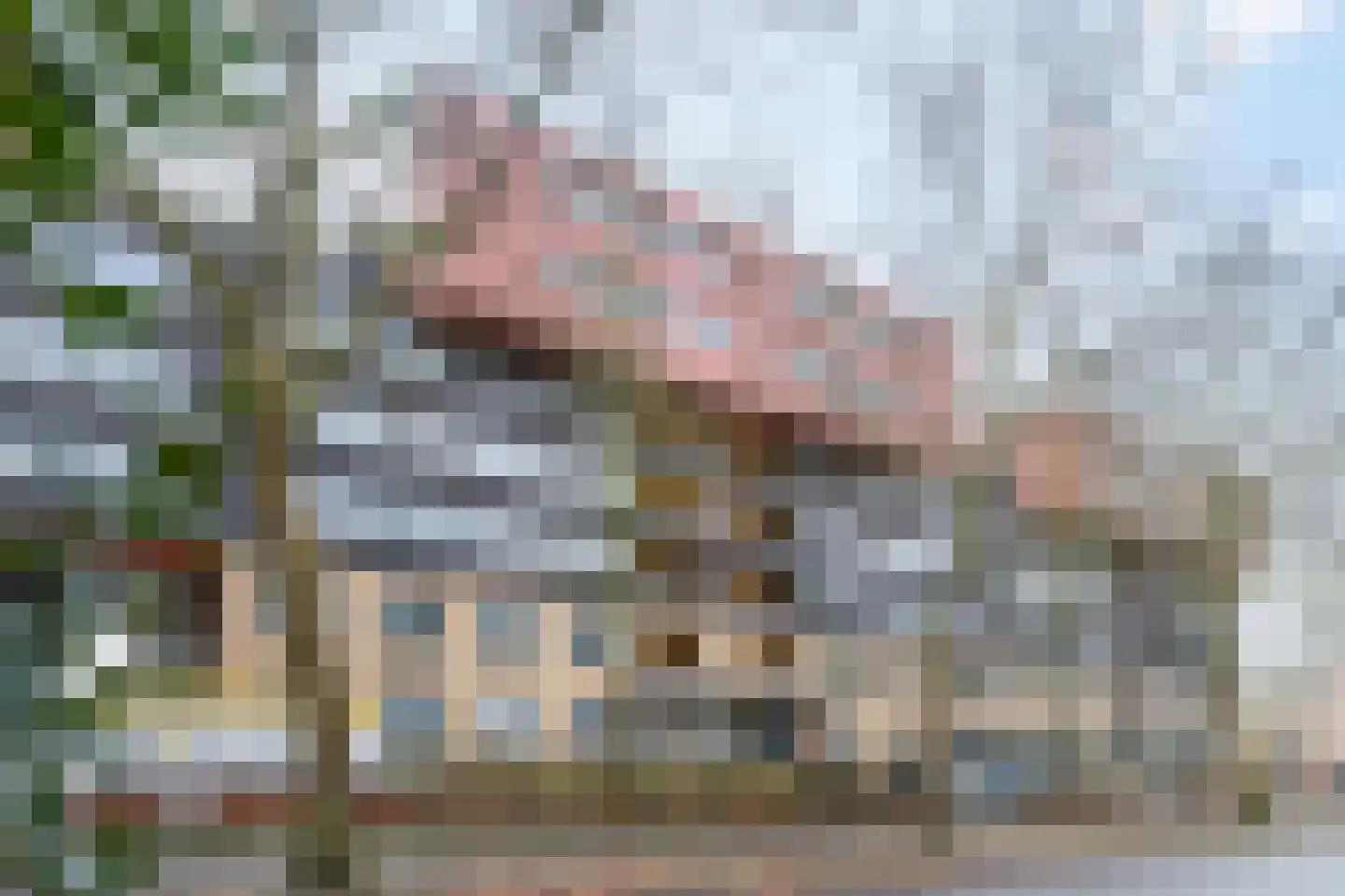Wadestein 84 Ede thumbnail 32