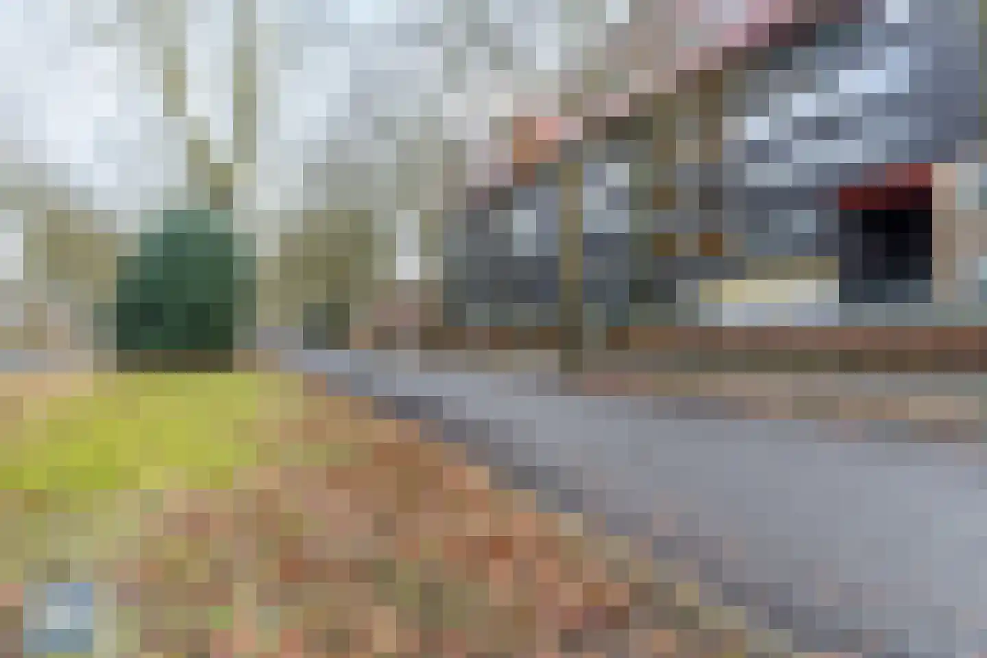 Wadestein 84 Ede thumbnail 36
