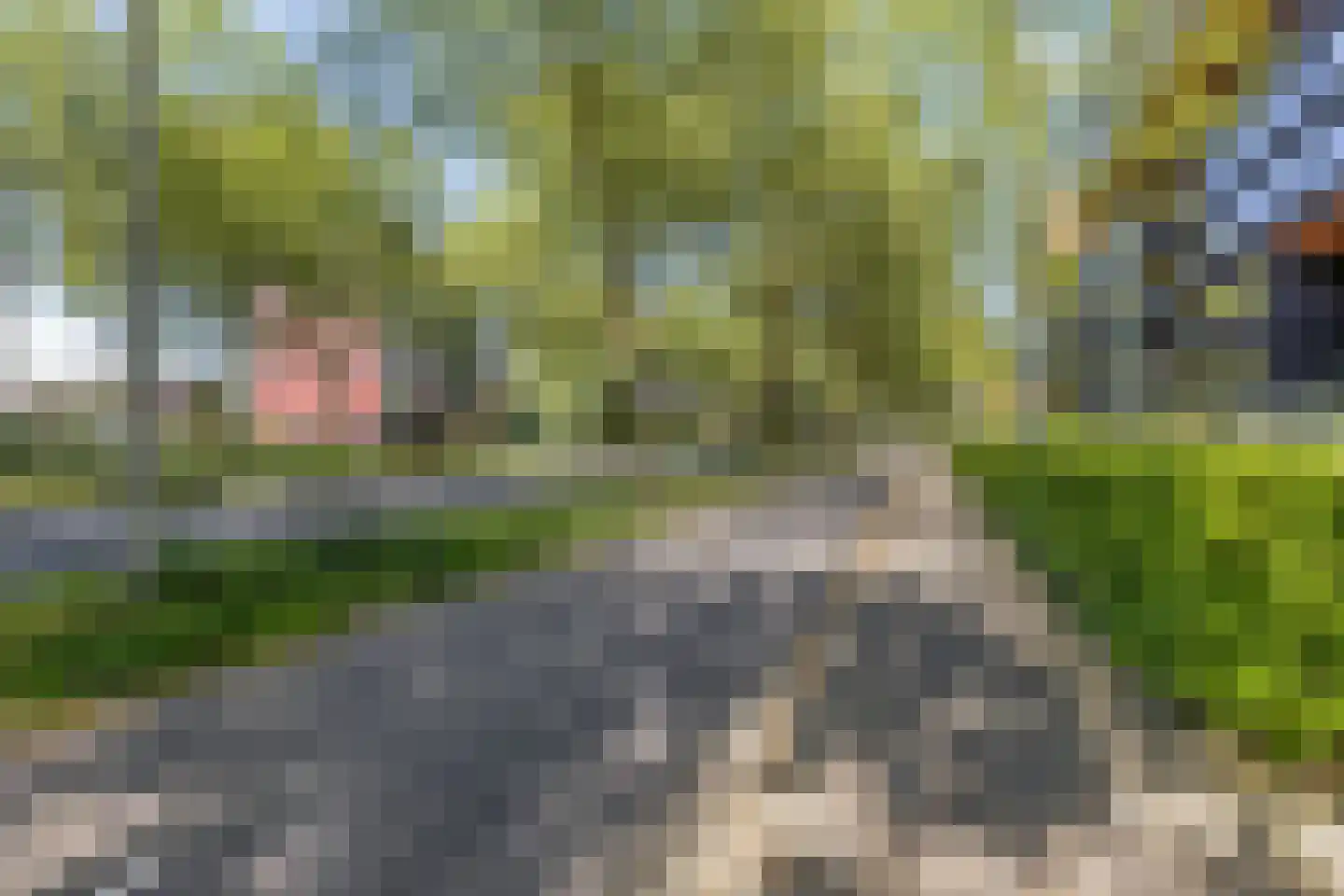 Wadestein 86 Ede thumbnail 44
