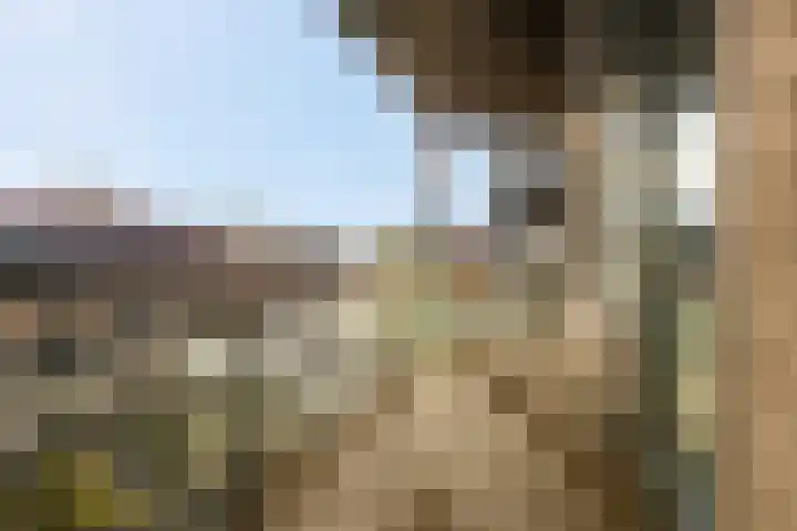 Wadestein 90 Ede thumbnail 17