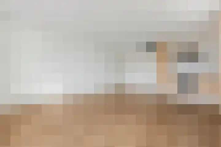 Wadestein 90 Ede thumbnail 4