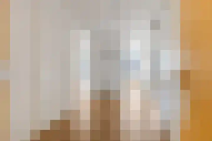 Wadestein 90 Ede thumbnail 7