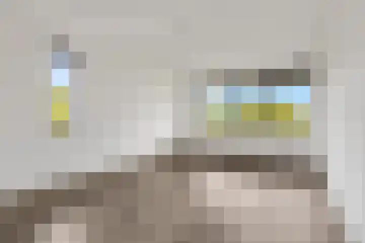 Wadestein 99 Ede thumbnail 12