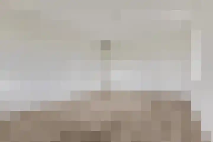 Wadestein 99 Ede thumbnail 13