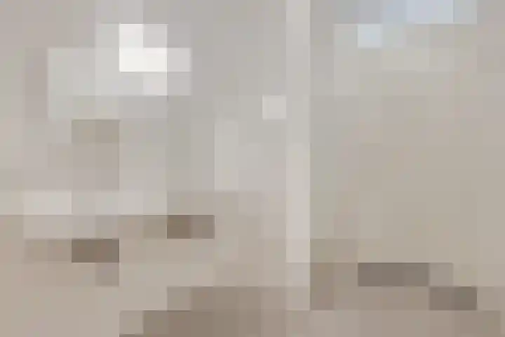 Wadestein 99 Ede thumbnail 17