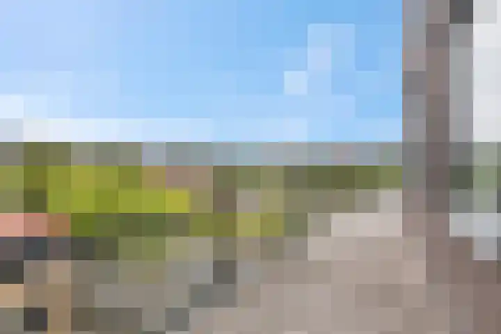 Wadestein 99 Ede thumbnail 21