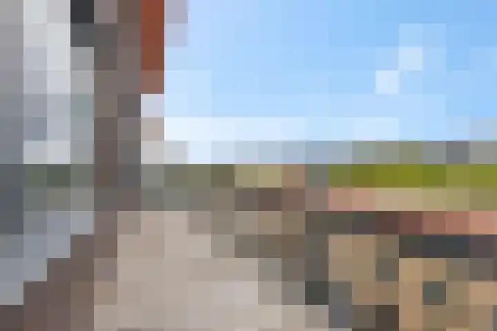 Wadestein 99 Ede thumbnail 22