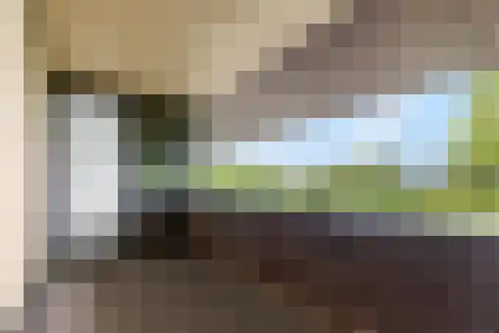 Wadestein 99 Ede thumbnail 23