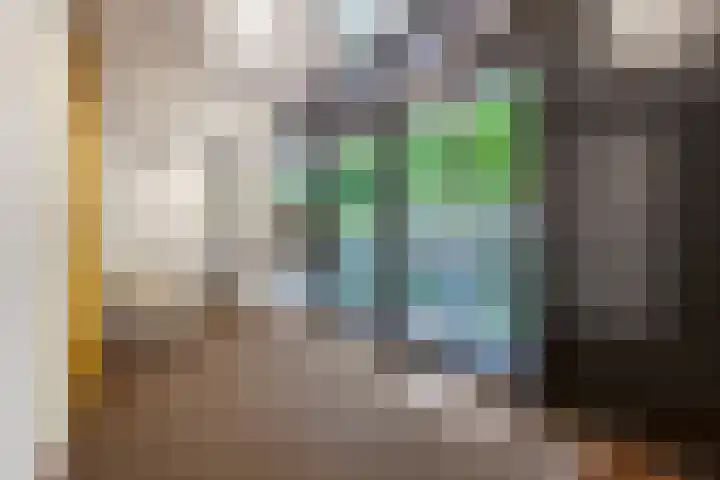 Wadestein 99 Ede thumbnail 25
