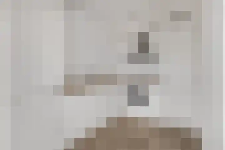 Wadestein 99 Ede thumbnail 9
