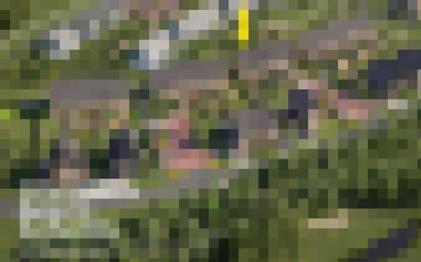 Wadi 21 Zuidland thumbnail 4