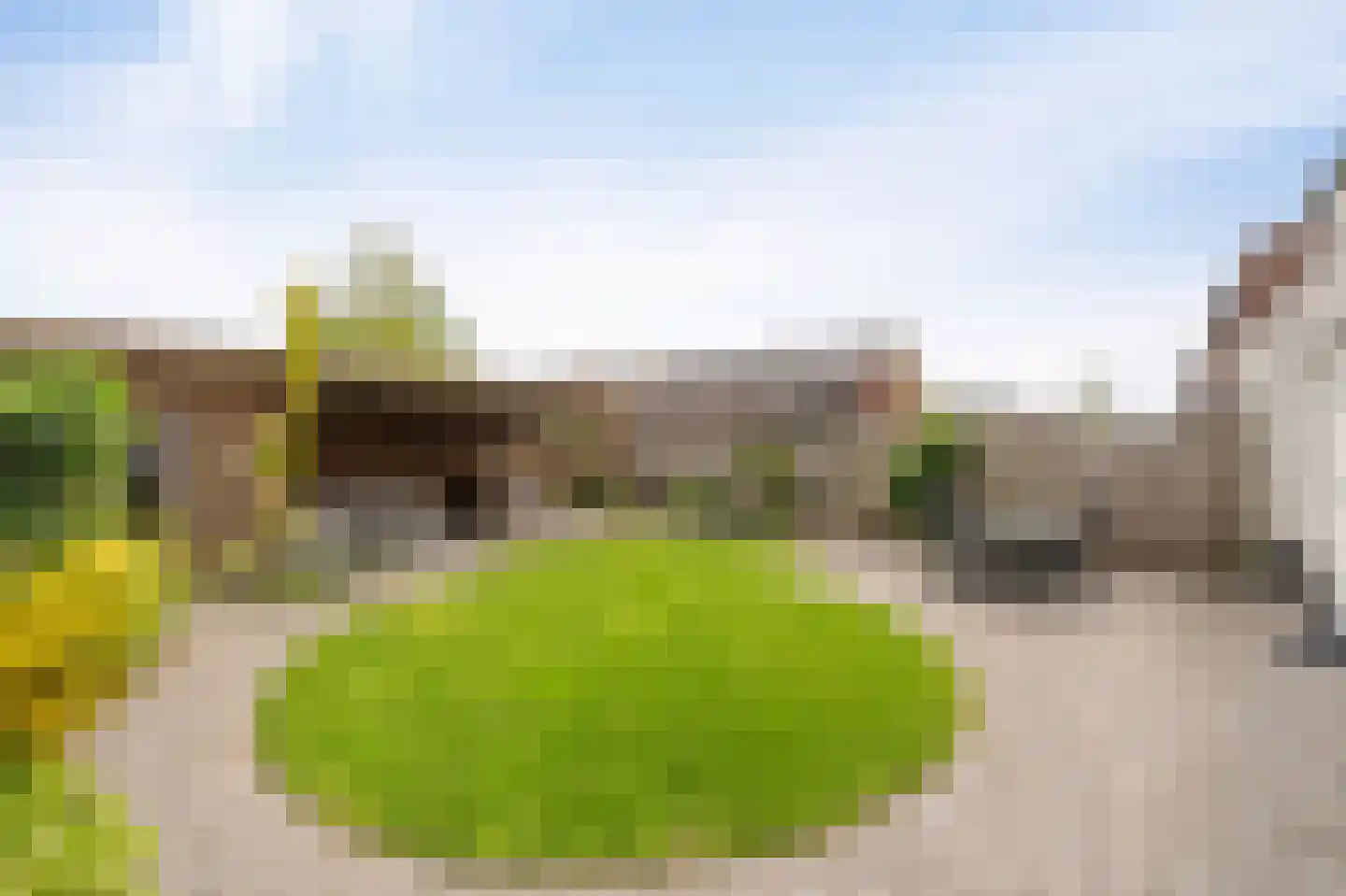 Wadloper 11 Kampen thumbnail 32