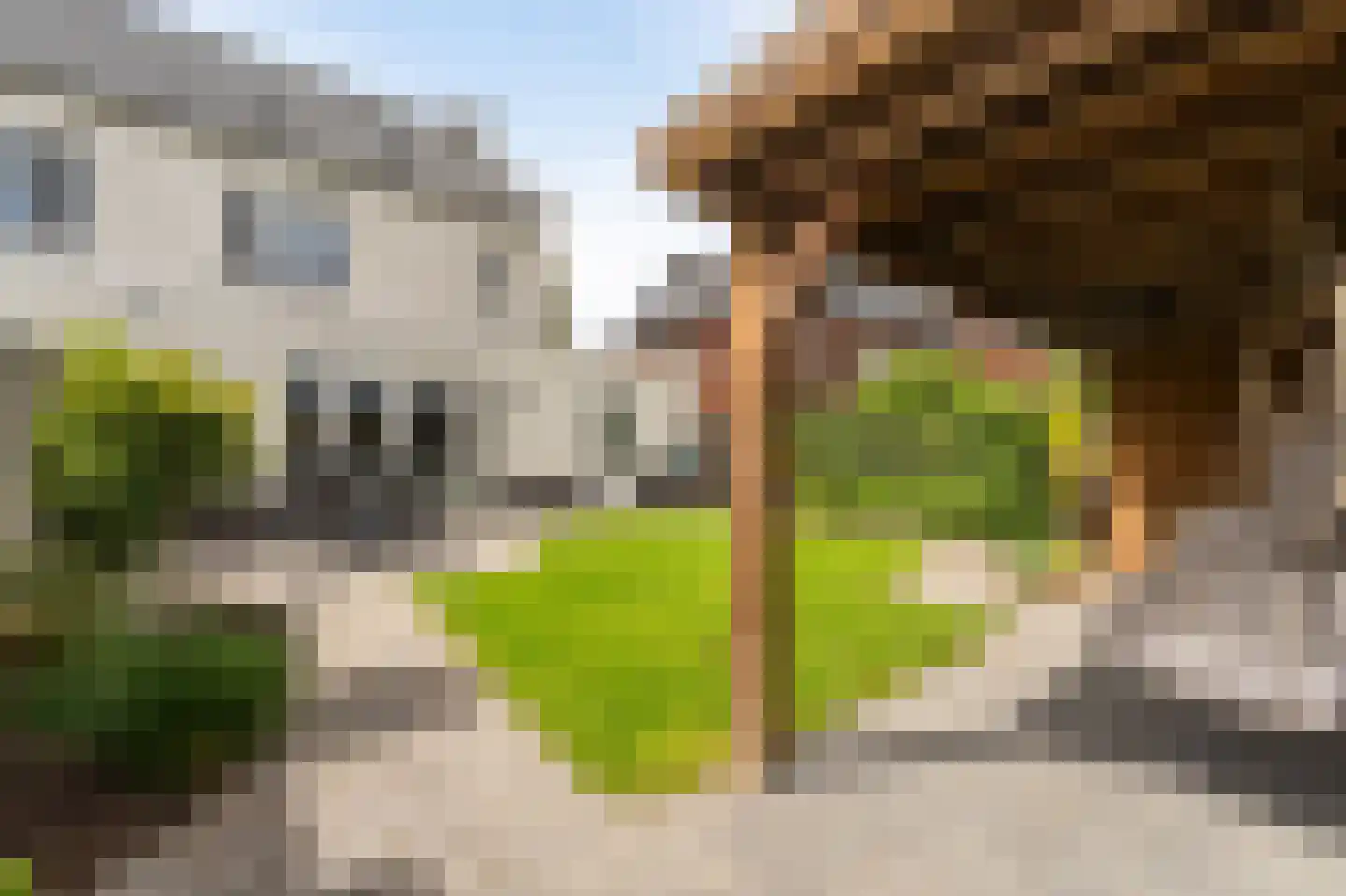 Wadloper 11 Kampen thumbnail 35