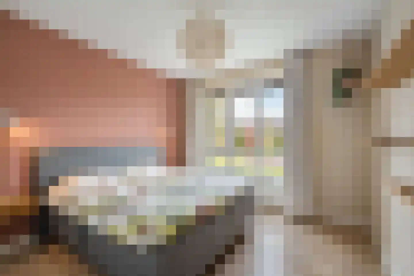 Wadloper 11 Kampen thumbnail 44