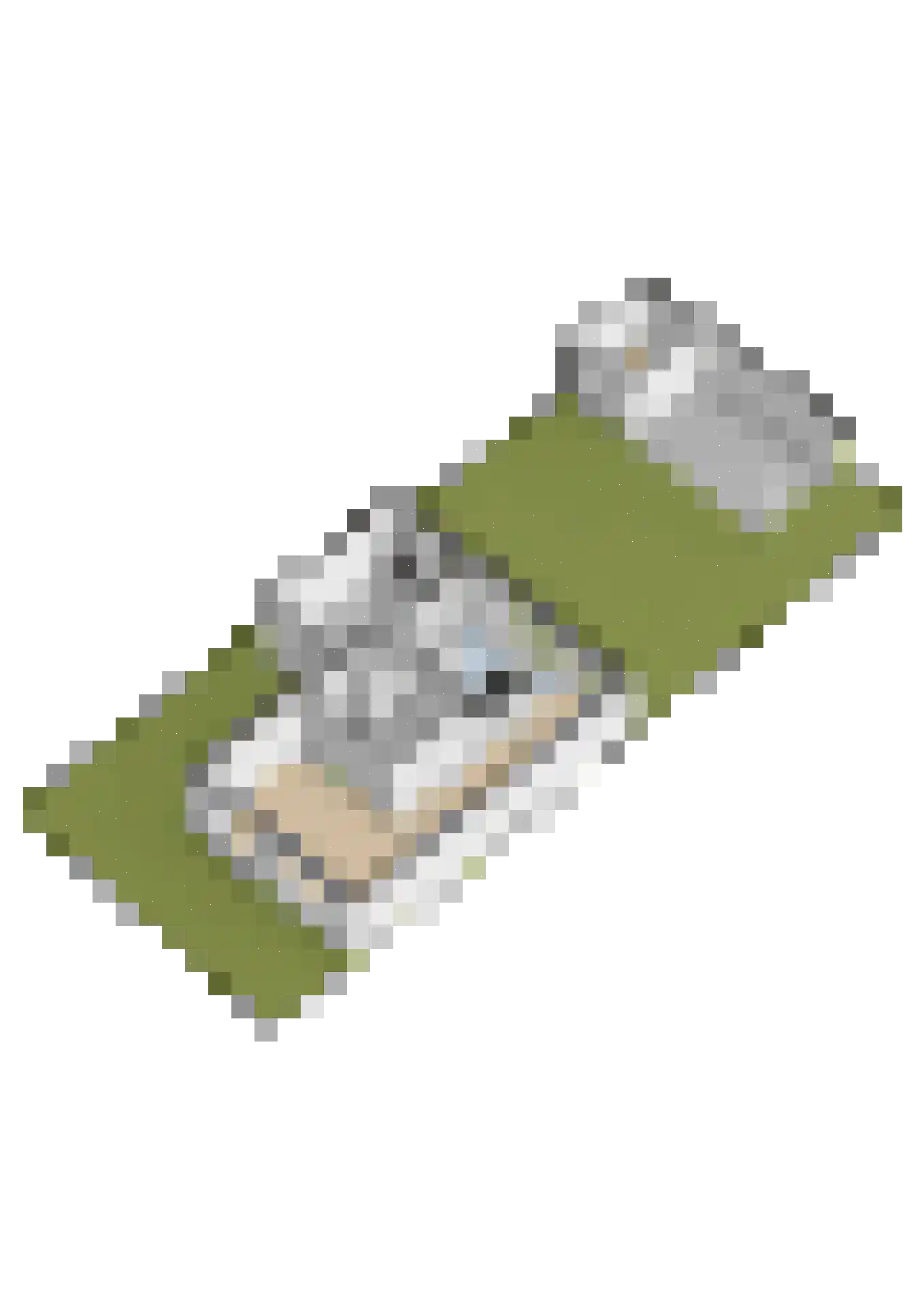 Wadloper 11 Kampen thumbnail 65