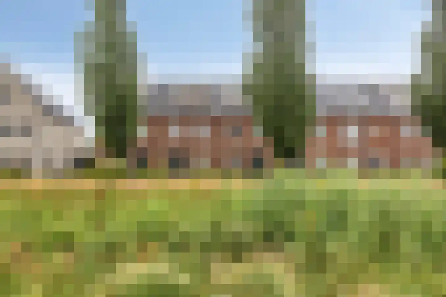 Wadloper 17 Kampen thumbnail 12