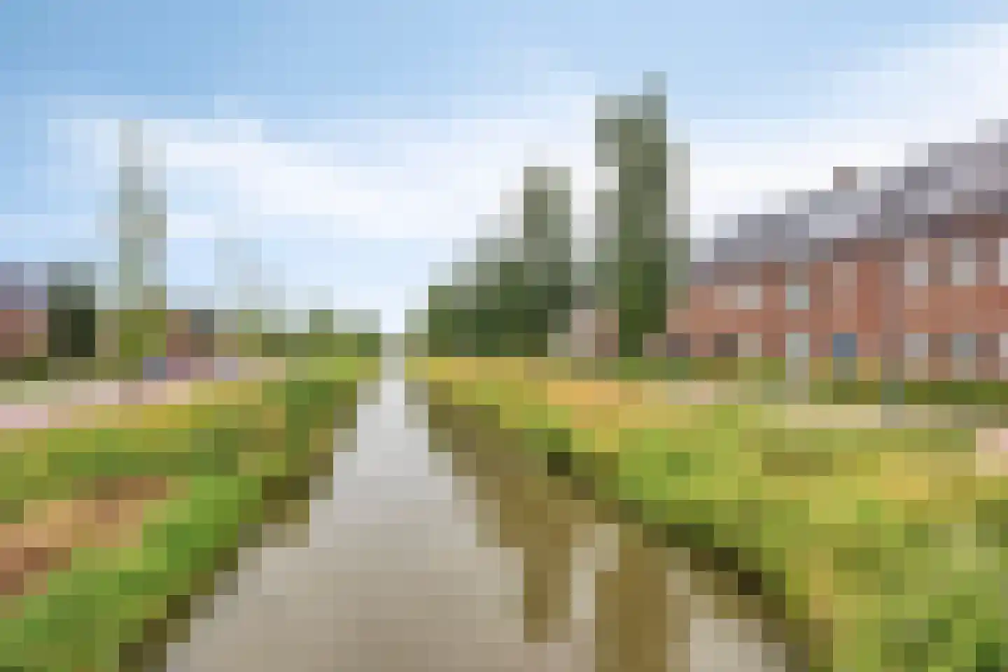 Wadloper 17 Kampen thumbnail 13