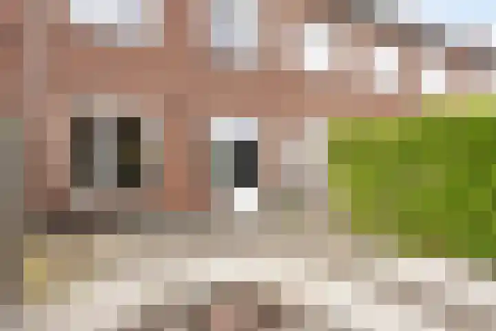 Wadloper 23 Kampen thumbnail 33