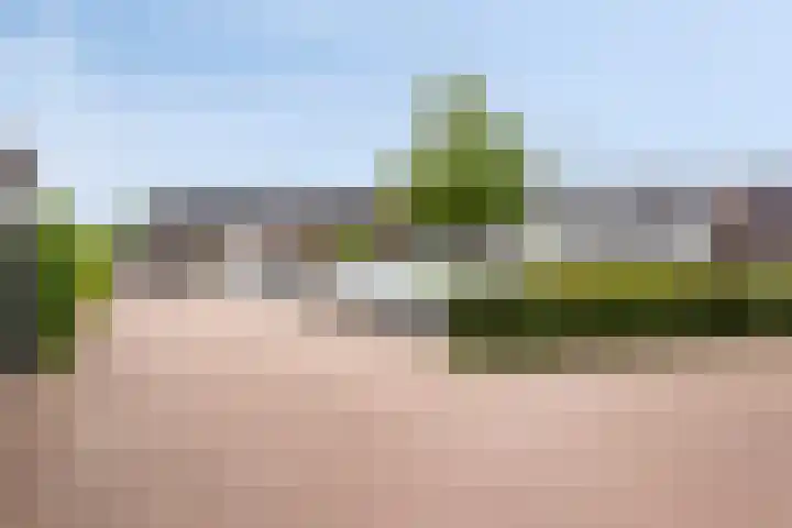 Wadloper 23 Kampen thumbnail 36