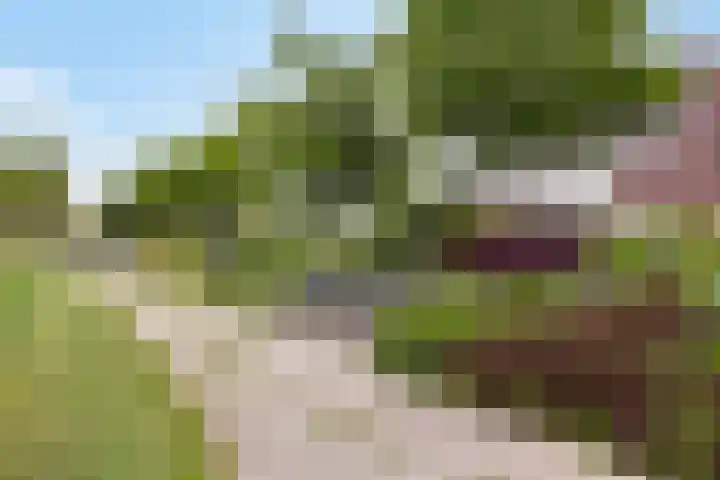Wadloper 23 Kampen thumbnail 37