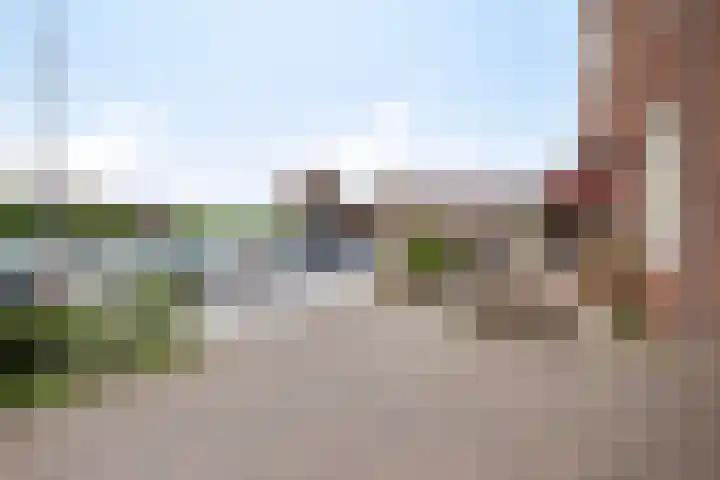 Wadloper 23 Kampen thumbnail 39