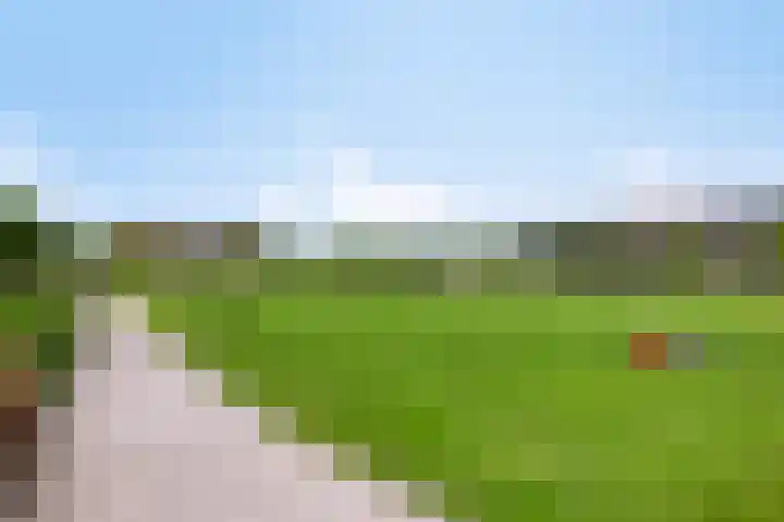 Wadloper 23 Kampen thumbnail 40