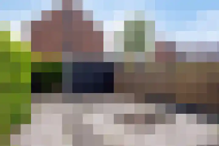 Wadloper 23 Kampen thumbnail 6