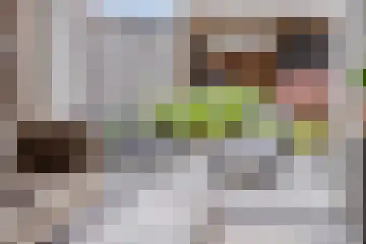 Wadloper 4 Kampen thumbnail 20