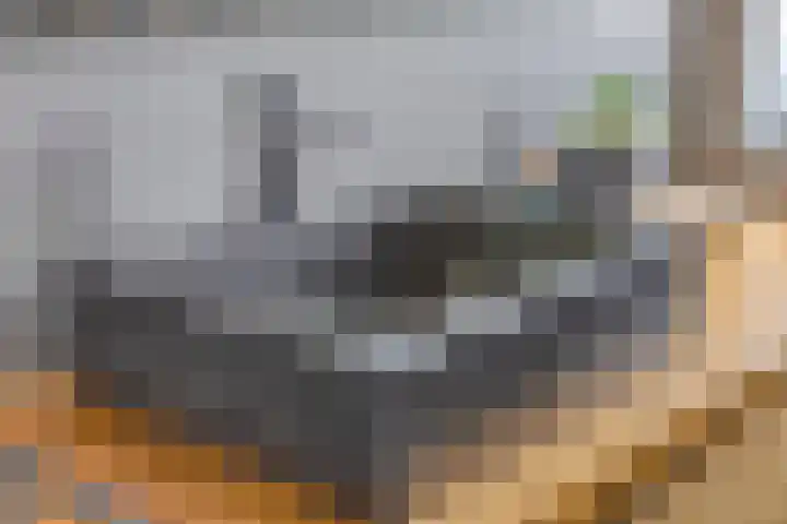 Wadloper 4 Kampen thumbnail 24