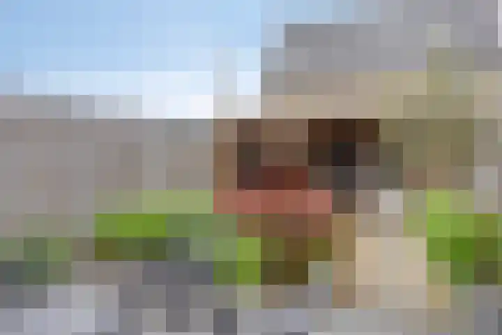 Wadloper 4 Kampen thumbnail 33