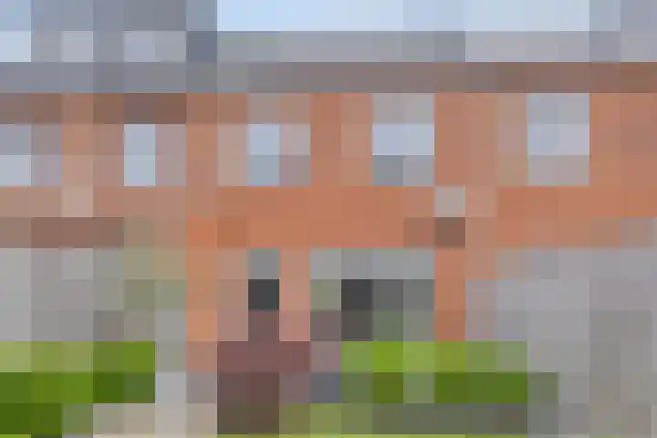 Wadloper 4 Kampen thumbnail 36