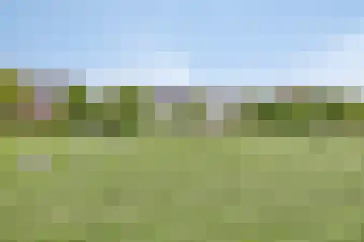 Wadloper 4 Kampen thumbnail 39