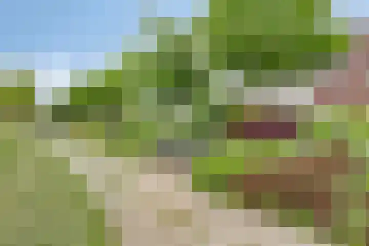 Wadloper 4 Kampen thumbnail 40
